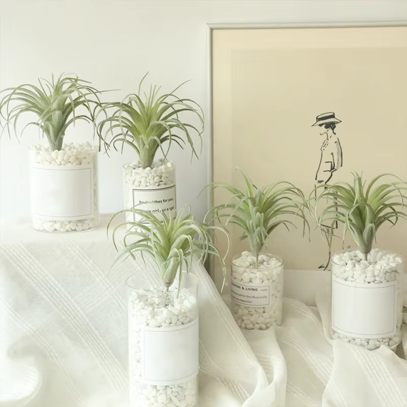 Faux Bromeliads floqués verts artificiels