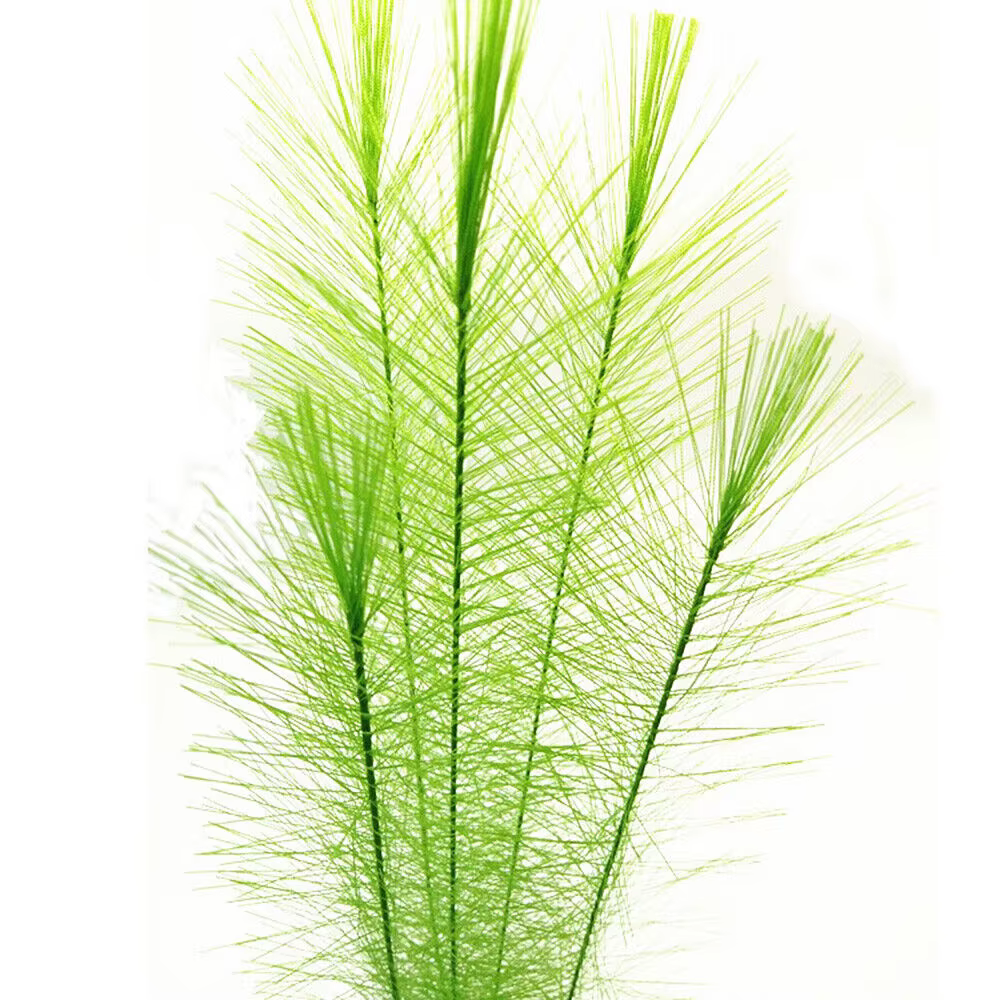 30cm Imitation eau herbe Aquarium aquatique plante artificielle fausse