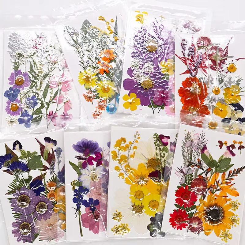 Fleurs séchées naturelles mélangées multicolores pressées pour l'art