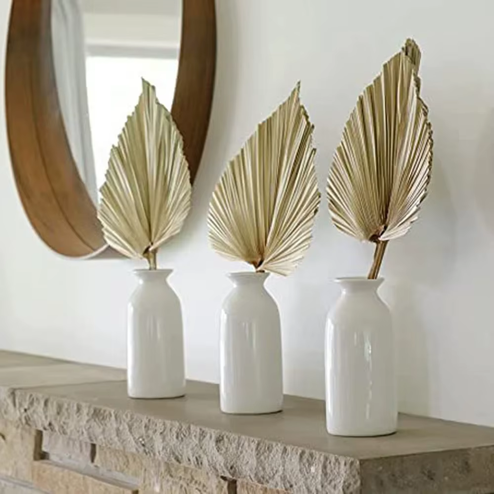 Feuilles d'éventail de palmier