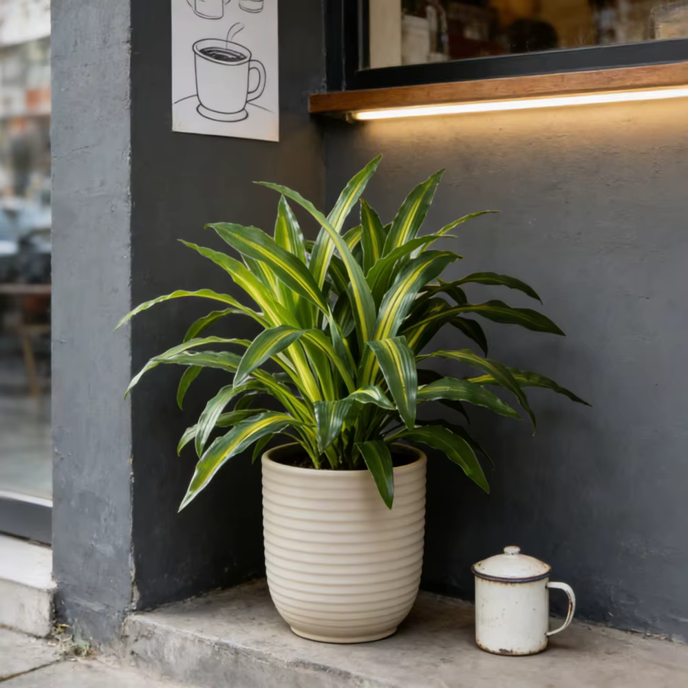 Arbre artificiel Dracaena de 40 cm