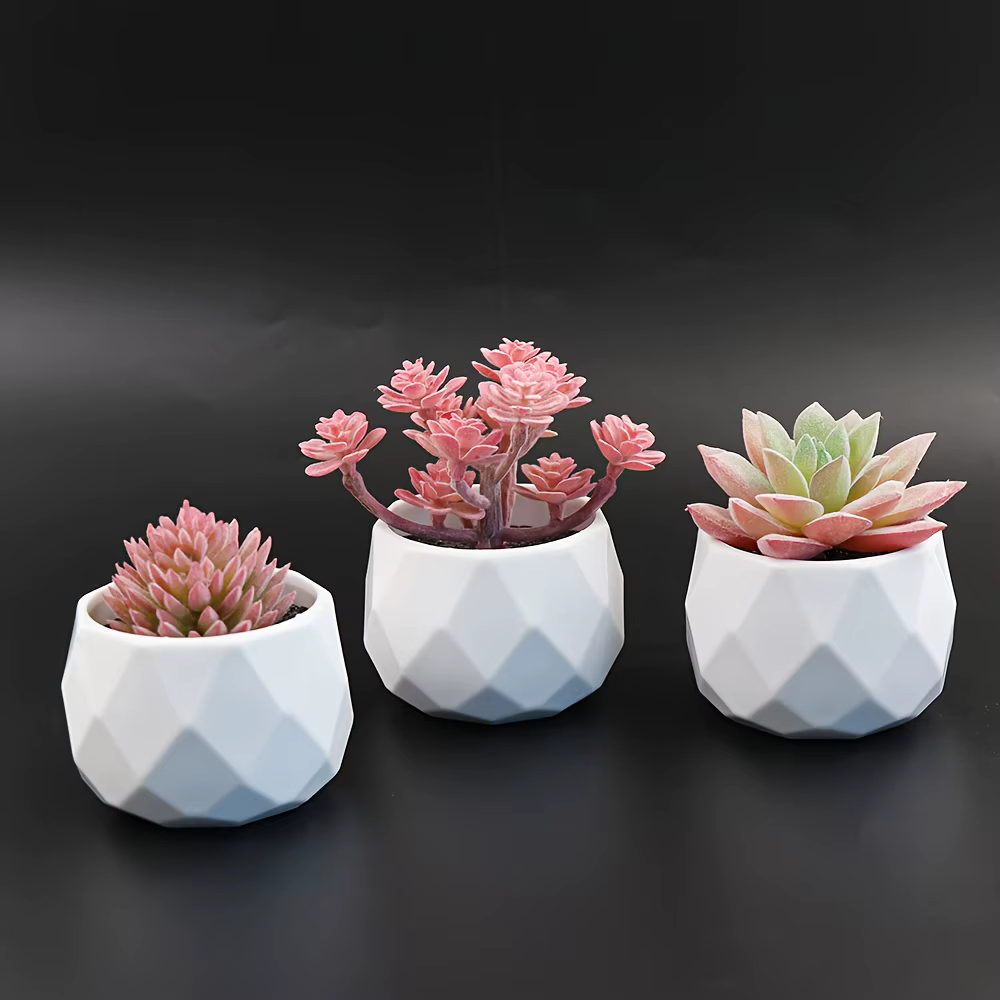 5 mini-plantes succulentes artificielles réalistes avec pot