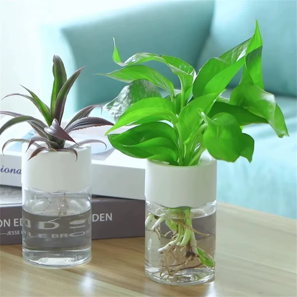 Mini Pot de fleur hydroponique