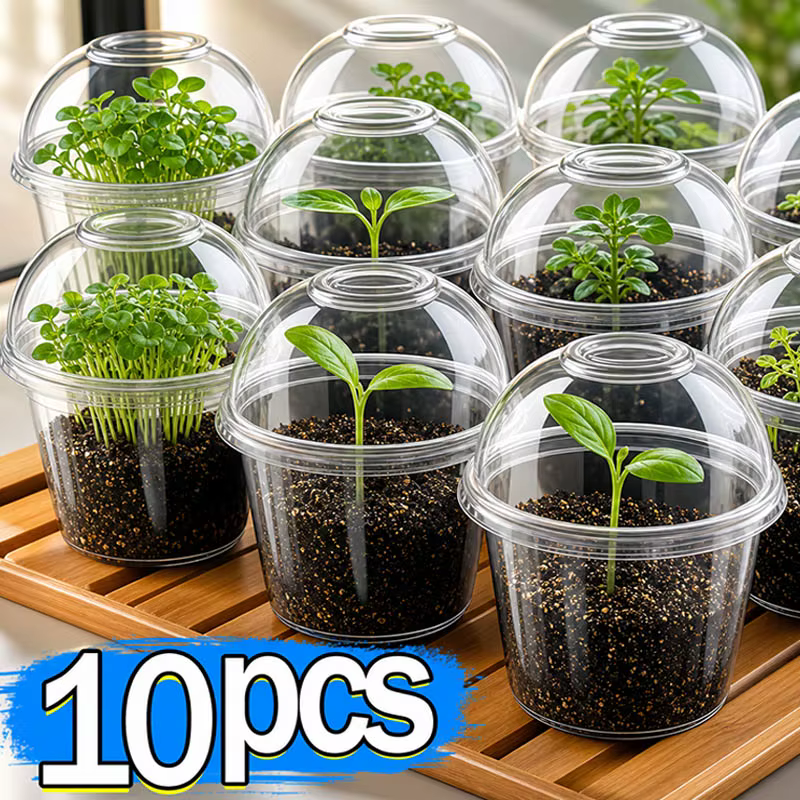Pots de pépinière transparents avec couvercles