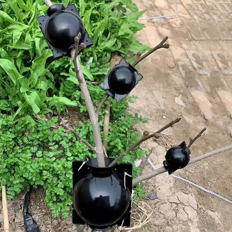 Lot de 10 Boîtes de Propagation pour Racines de Plantes – Réutilisables pour l'Enracinement