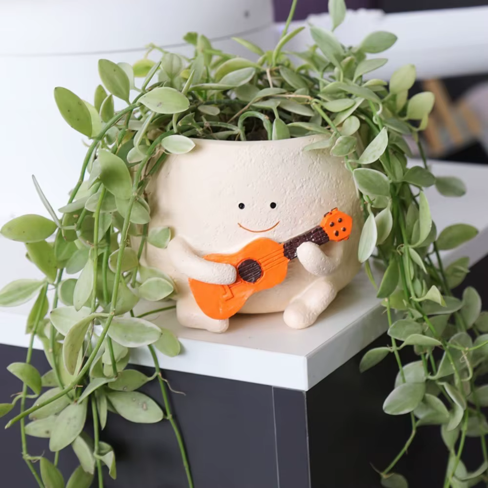 Pot de fleurs succulentes pour guitare