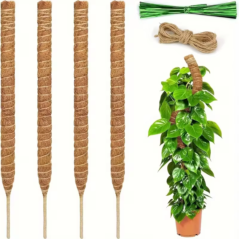Poteau d'escalade pour plantes