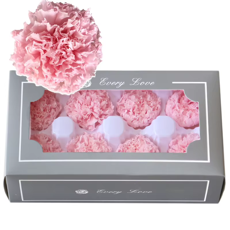Fleur fraîche d'oeillet longue durée