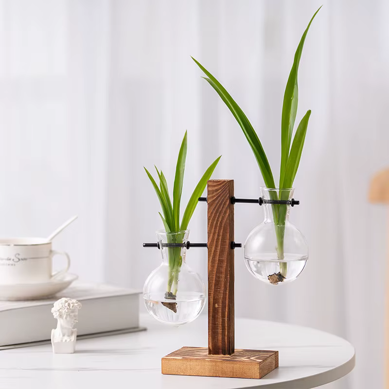 Vase à Plantes de Fleurs Vintage Terrarium