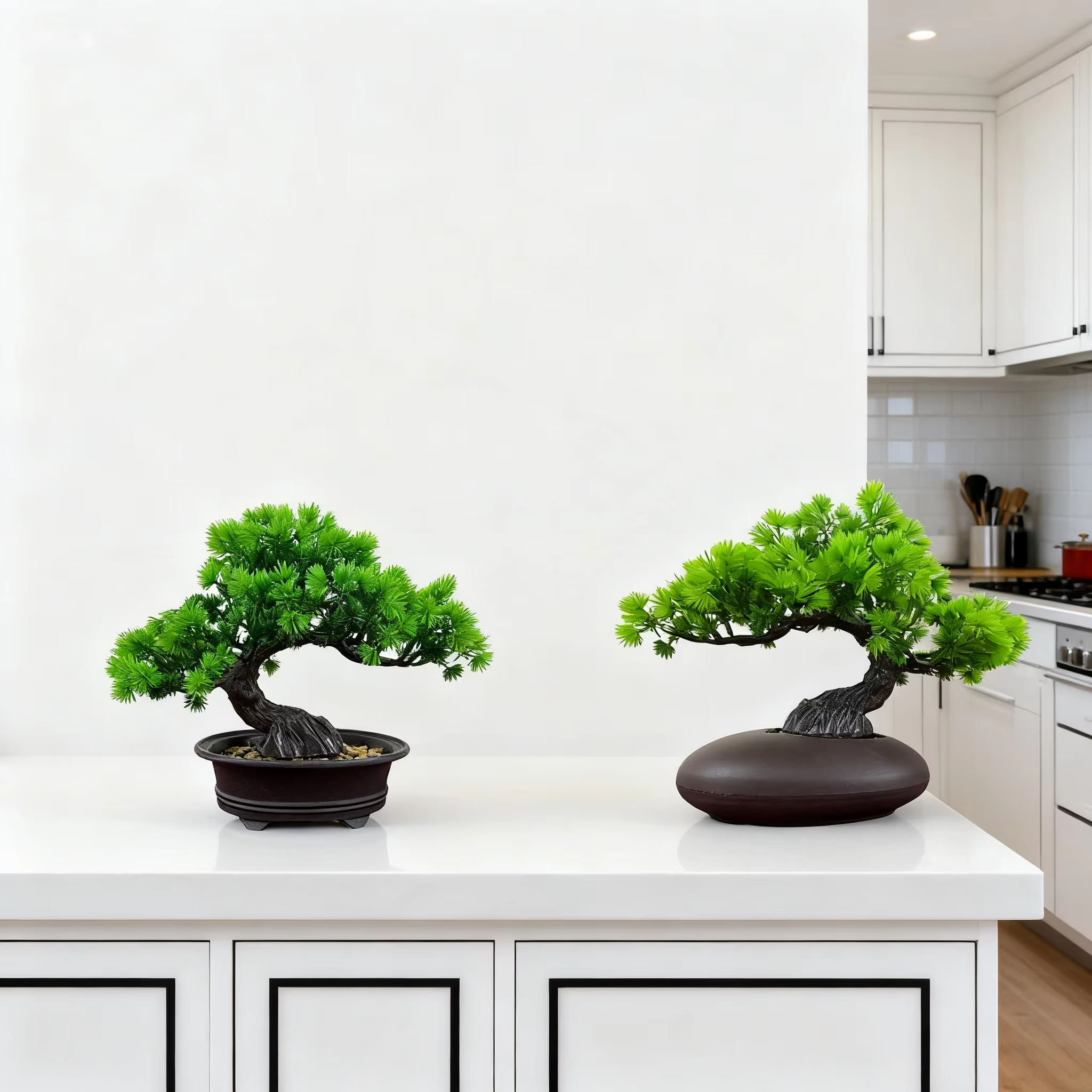 Arbre bonsaï Zen chinois