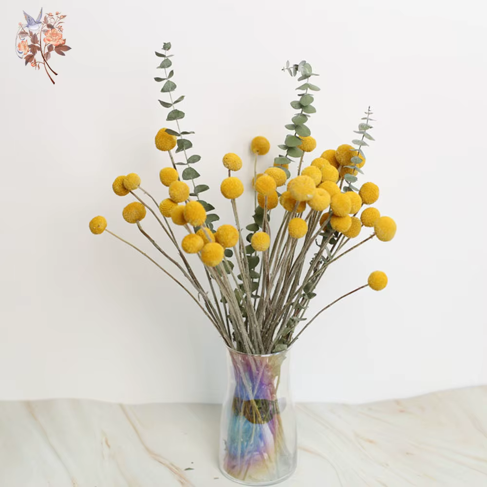 Bouquet de fleurs séchées