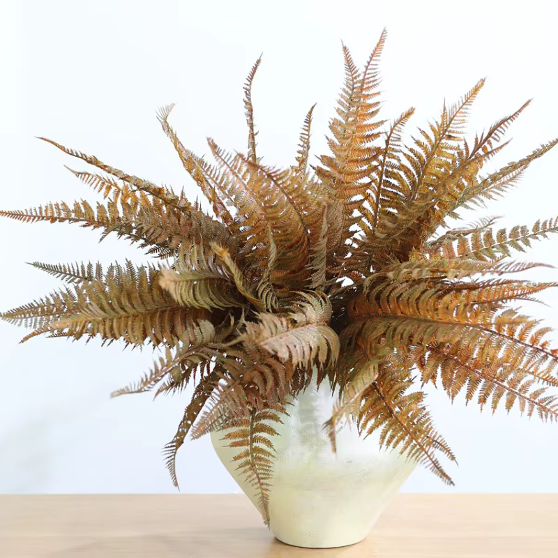 Bouquet de plantes artificielles en plastique Radix Asparagi