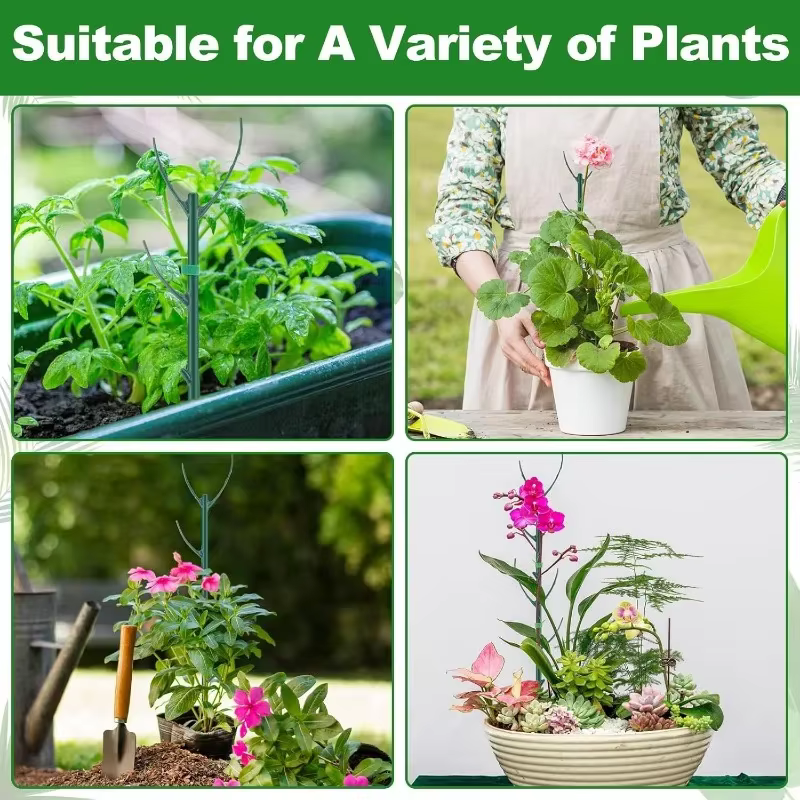 Piquet de Support pour plantes grimpantes