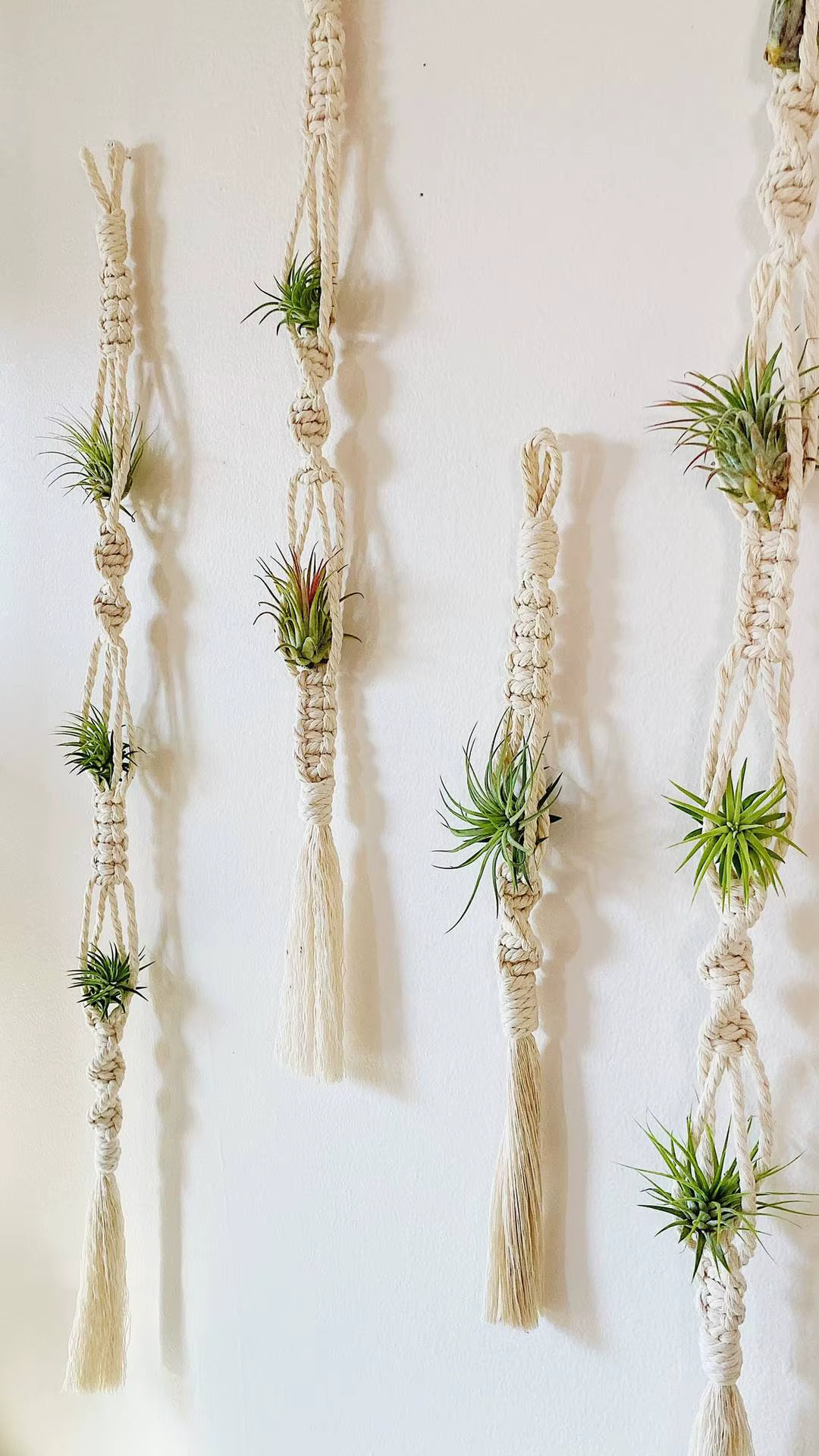 Cintre pour plantes à Air en macramé