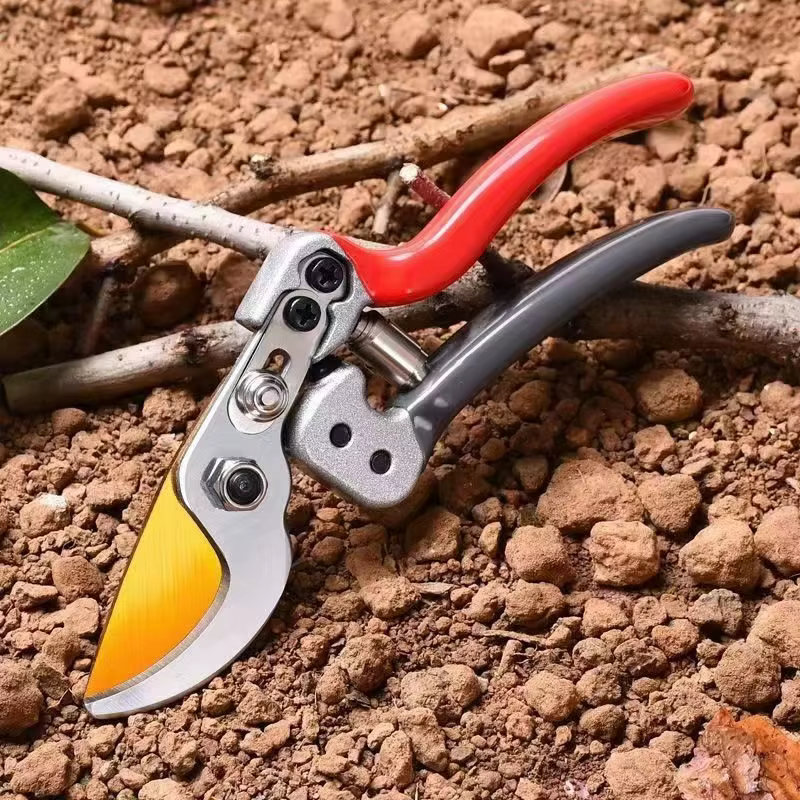 Ciseaux horticoles pour couper des Branches