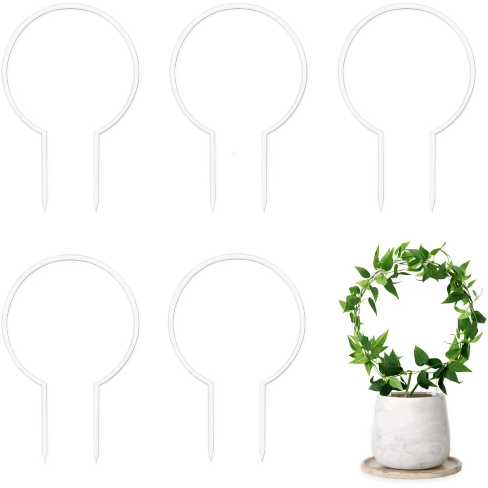 1 pièces petite plante transparente treillis en plastique