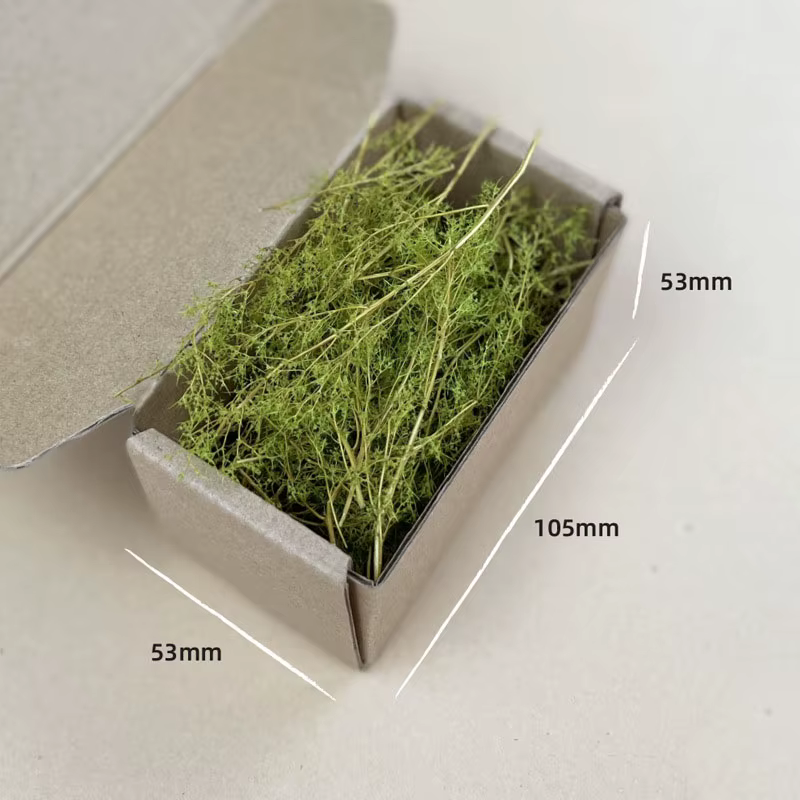 Kit de modèle d'herbe sèche