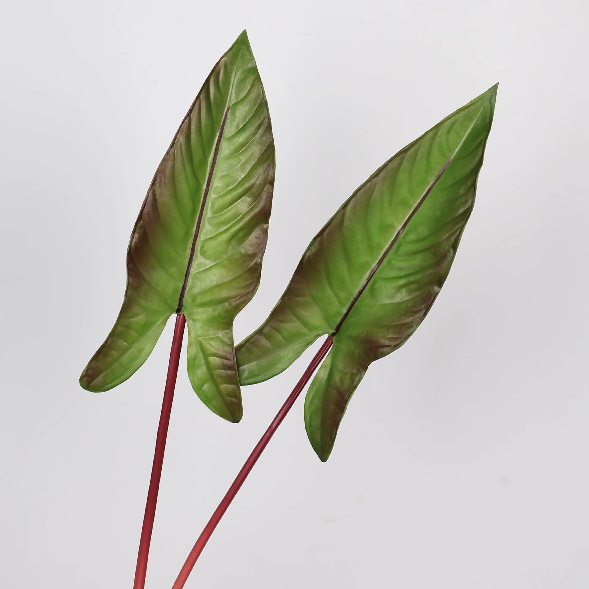 Feuille d'alocasie artificielle de 31 pouces