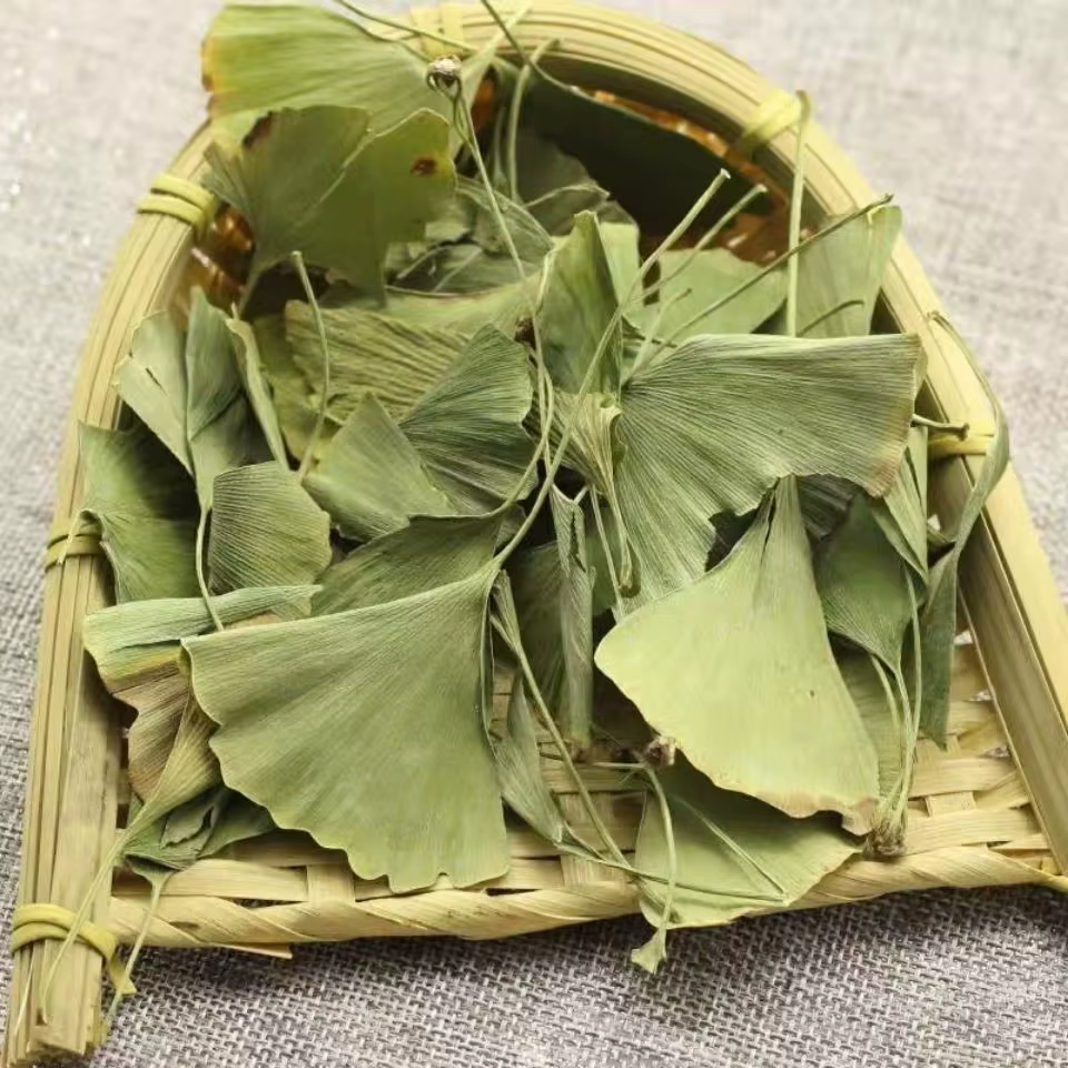 Feuilles de Ginkgo Biloba séchées naturelles