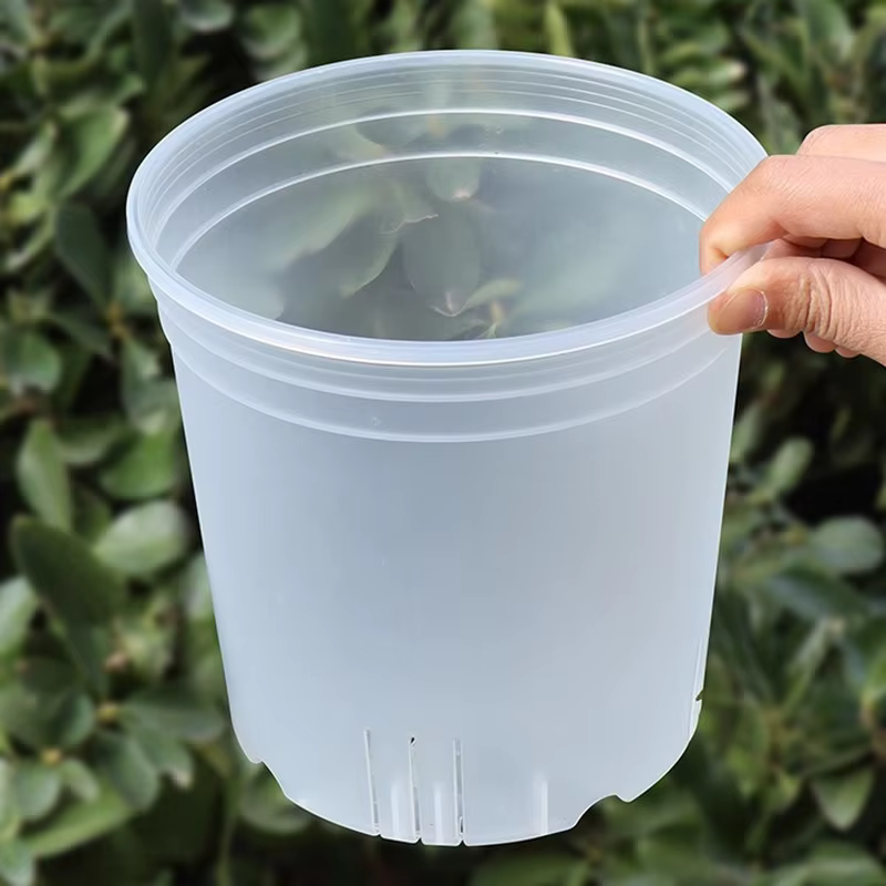 Pot de fleurs Transparent avec trous
