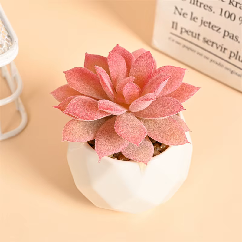 Ensemble de Mini plantes succulentes artificielles
