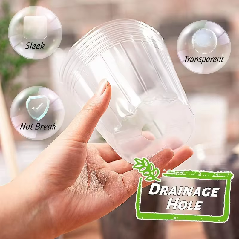 Pot de fleurs Transparent pour plantes