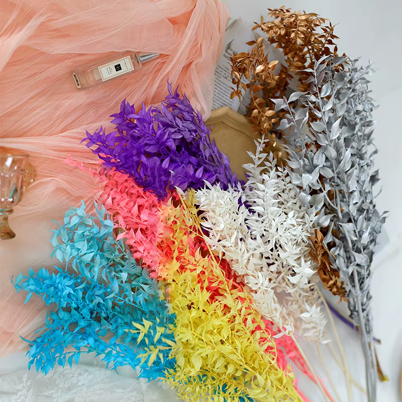 Fleurs séchées naturelles pour la décoration de la maison et du jardin