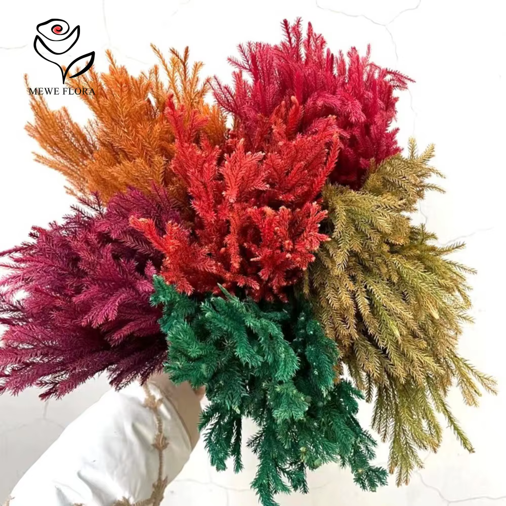 Lycopodium naturel séché pour la décoration de Noël