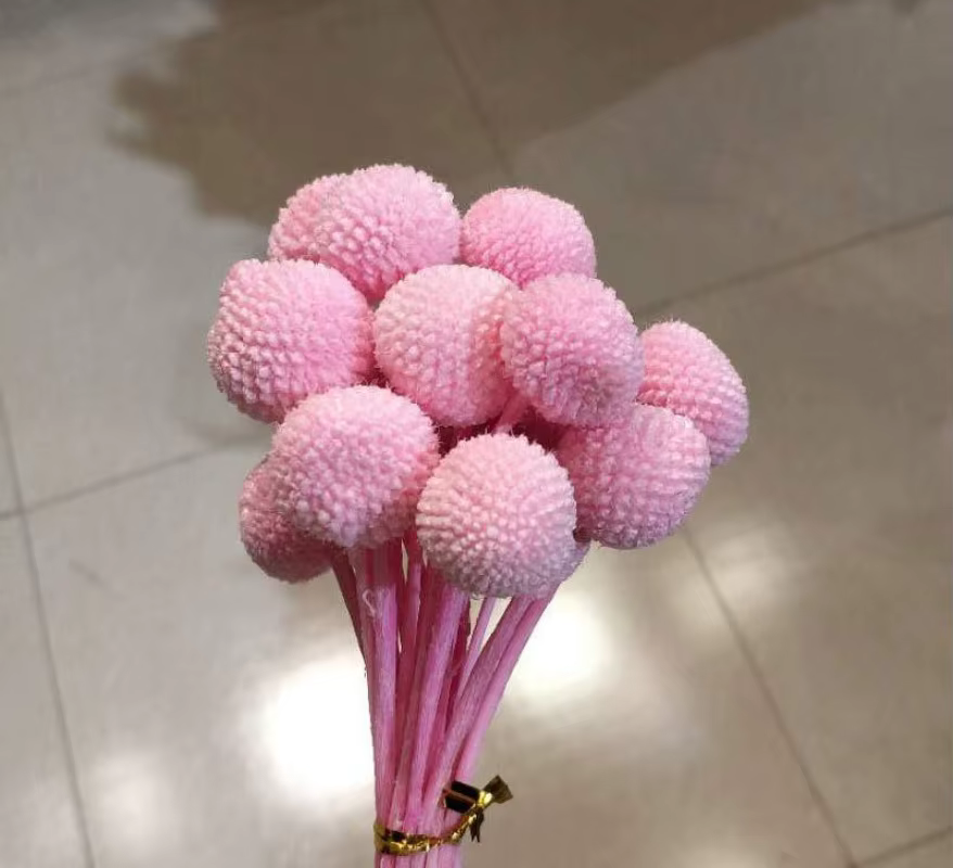 Bouquet de fleurs sèches en boule dorée