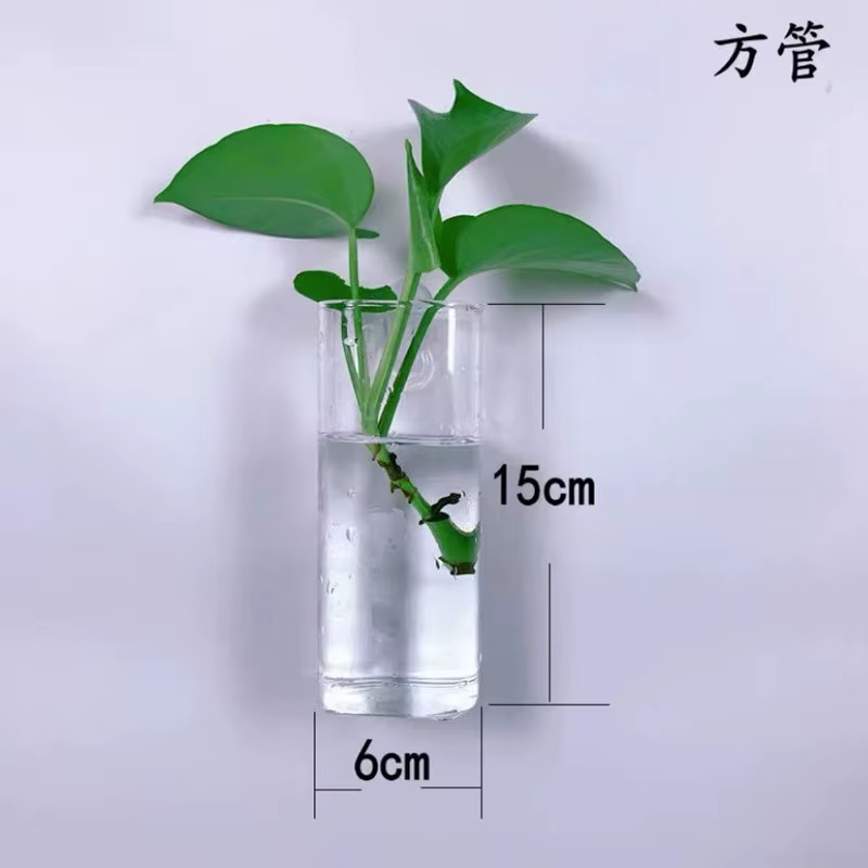 Vase à fleurs mural en verre minimaliste moderne