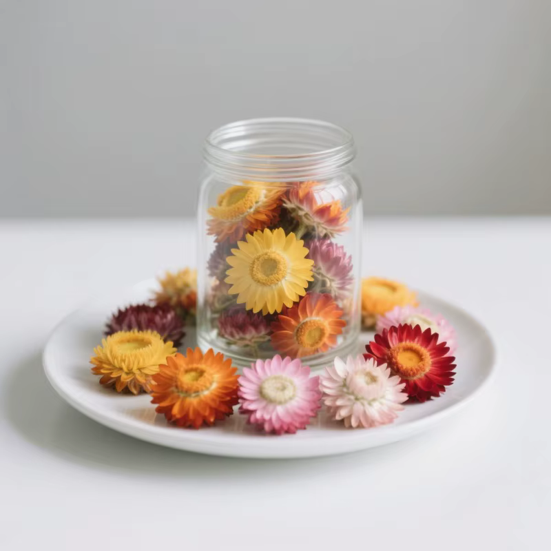 Fleur séchée naturelle premium d'Immortelle (Helichrysum Bracteatum) – Mélange de fleurs pour décoration de mariage