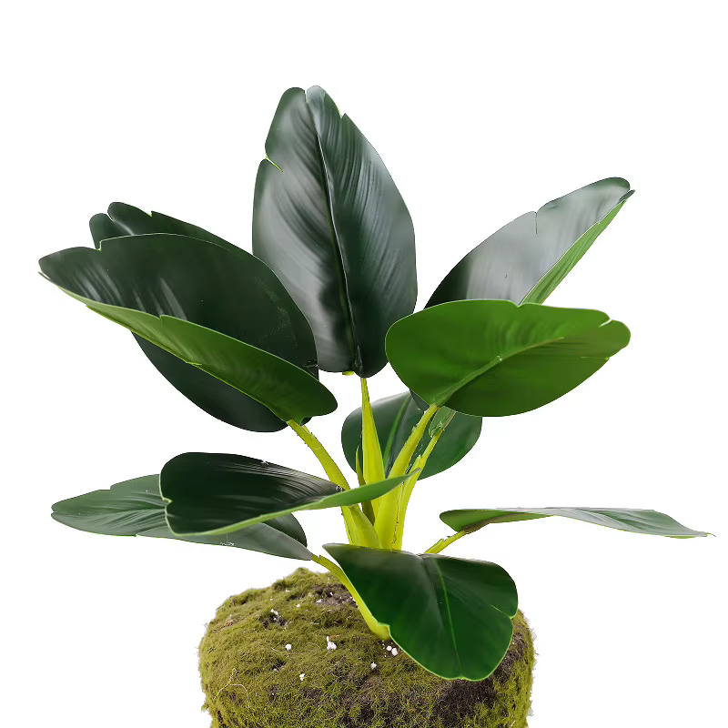 2 pièces plantes vertes artificielles en plastique feuilles de pomme Bouquet mariage Canna feuille plante Simulation fleur Auditorium décoration