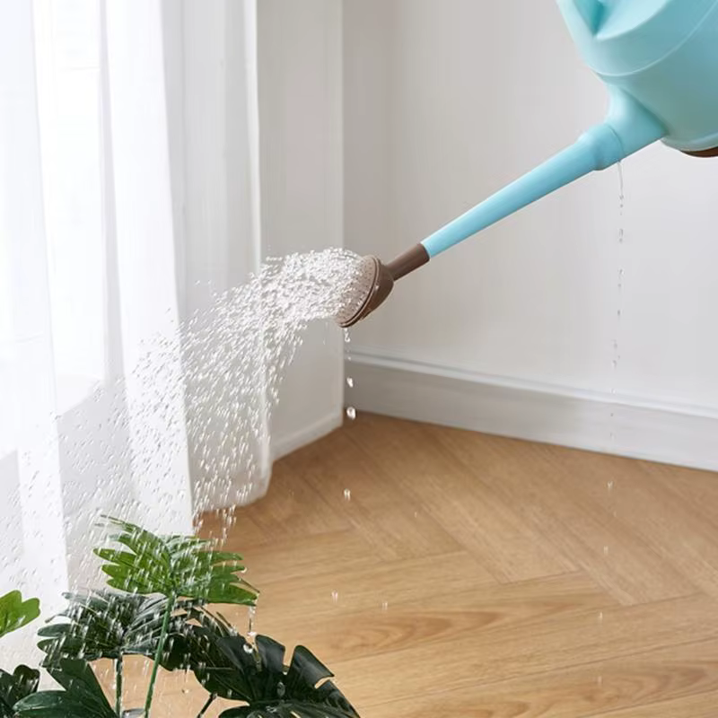 Arrosoir d'intérieur pour plantes d'intérieur