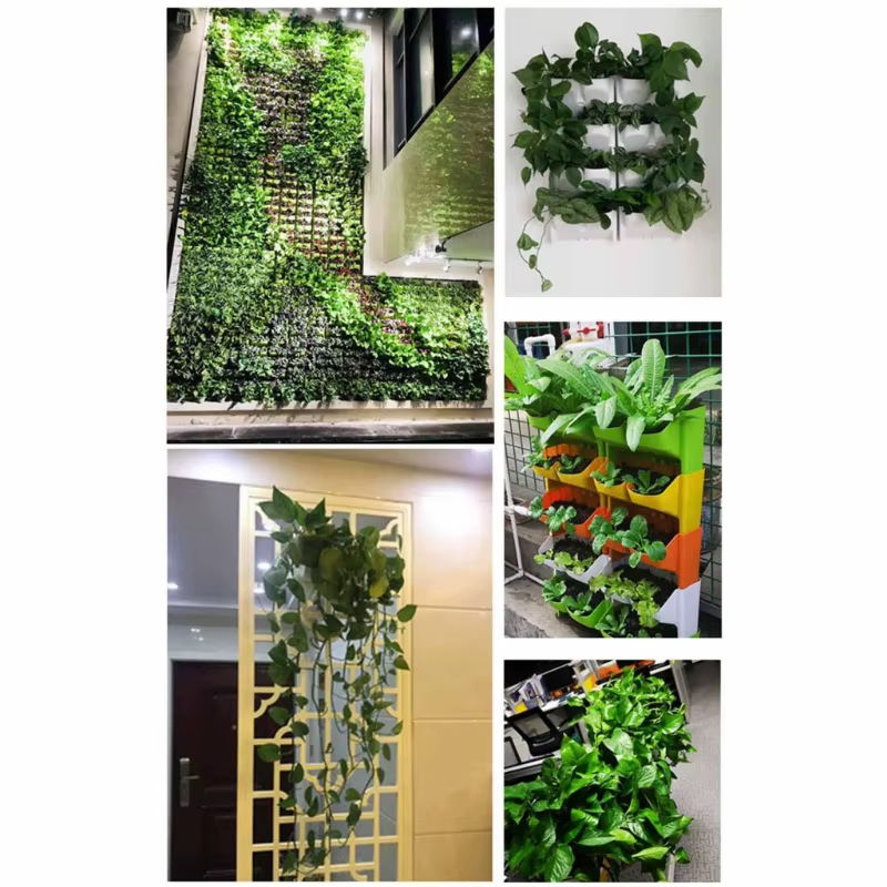 Jardinière murale suspendue pour plantes d'intérieur et d'extérieur