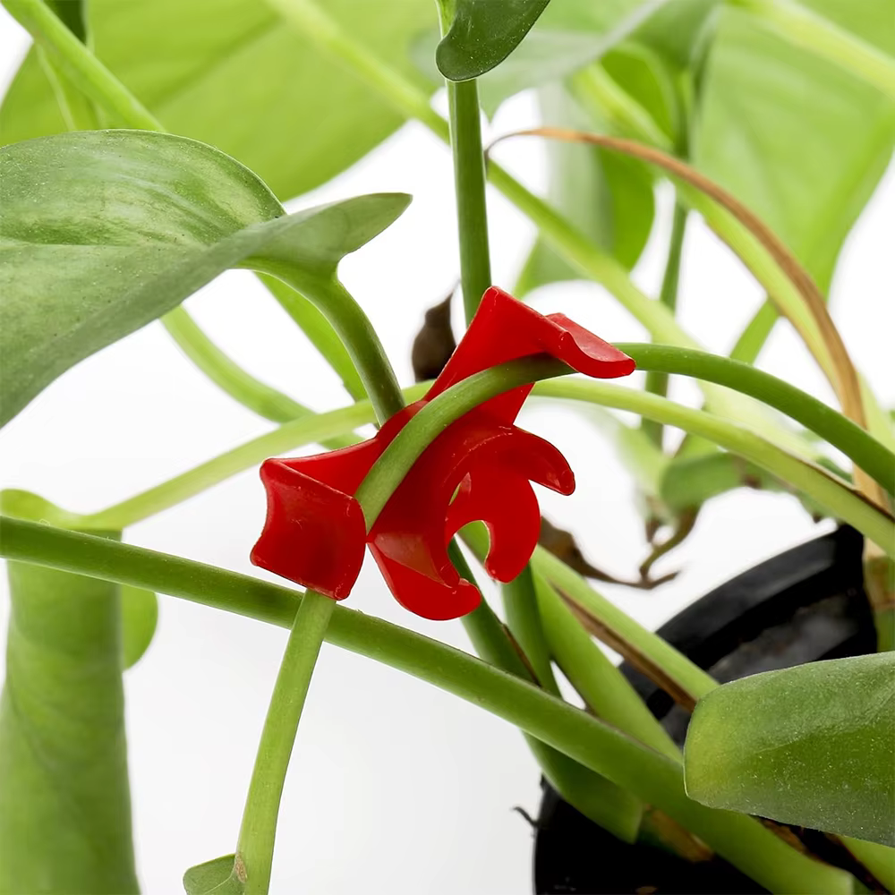 10/20/30 pièces cintreuse de plantes Clips d'entraînement 90 degrés