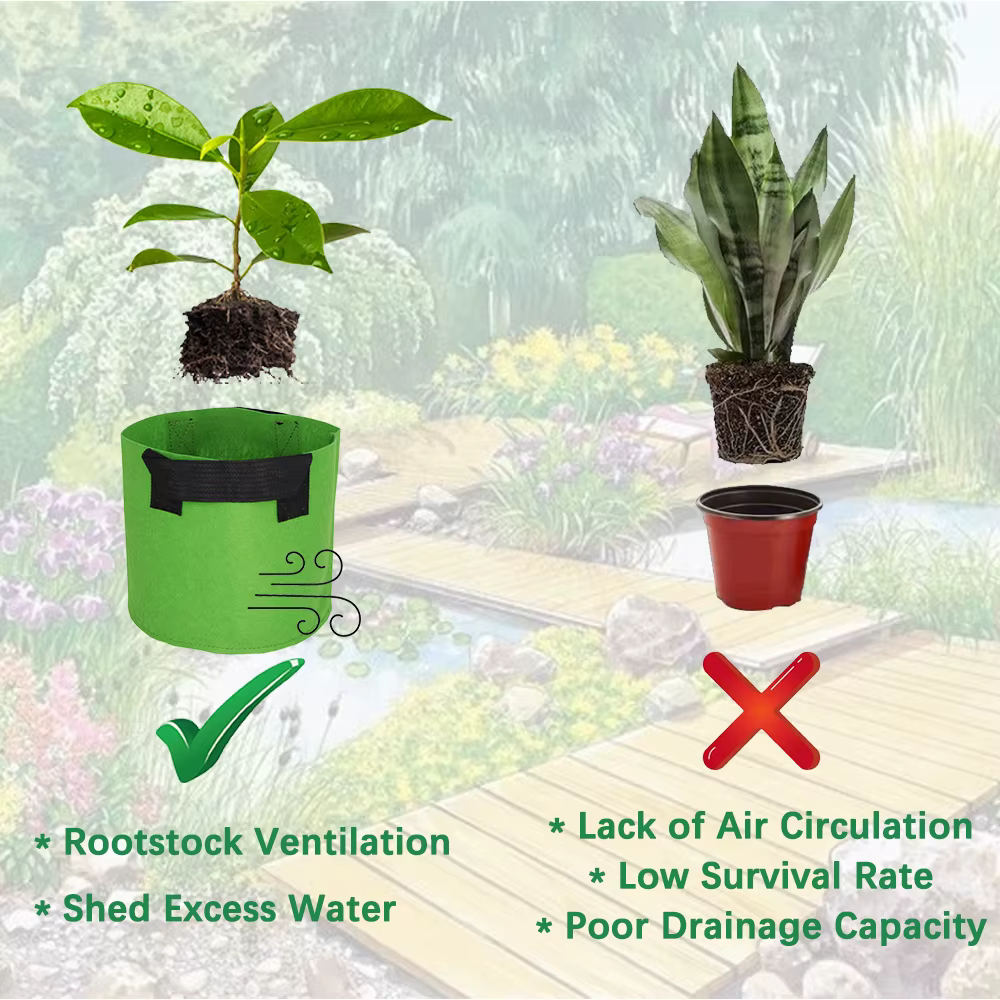 Pot de plantation en feutre pour plantes 1/2/3/5/7/10/12/15/17/20 gallons