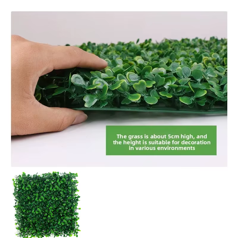 Mur végétal vert, tapis de salon haut de gamme