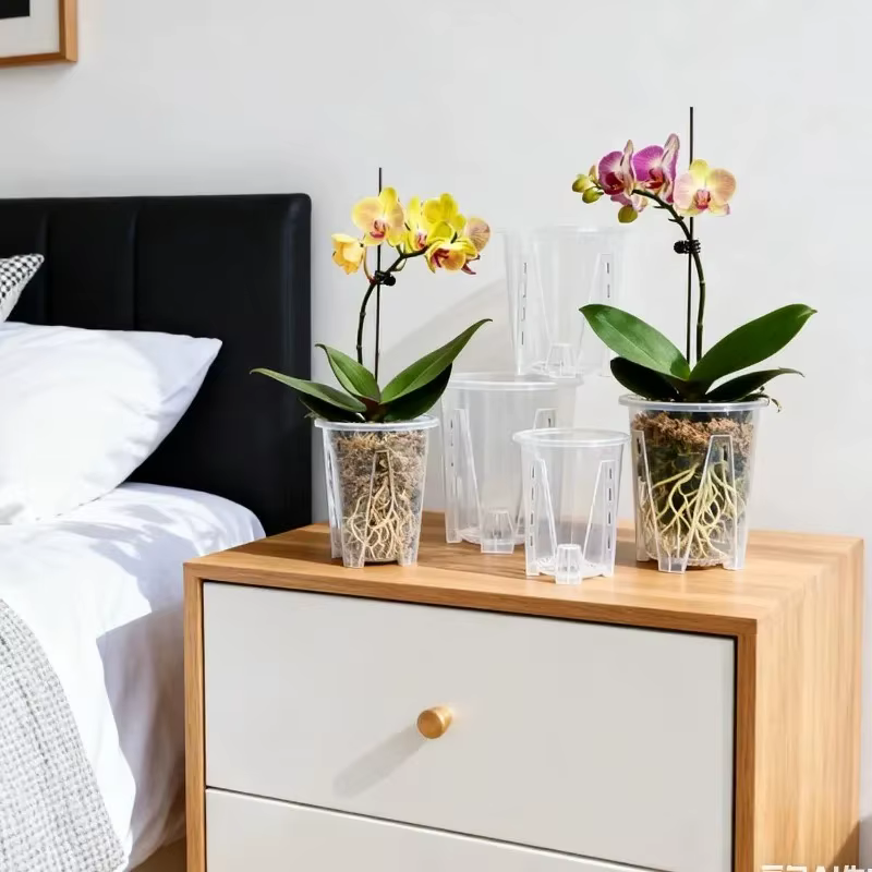 Pots à orchidées en plastique transparents avec trous de ventilation pour la plantation des Phalaenopsis