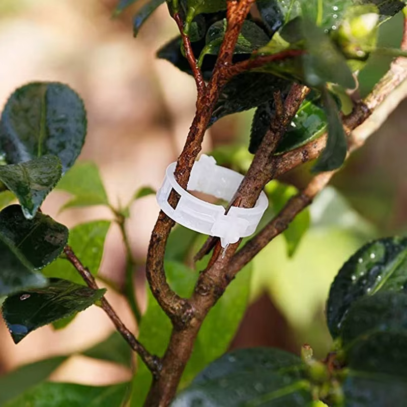 Clips de Support de plante en plastique réutilisables