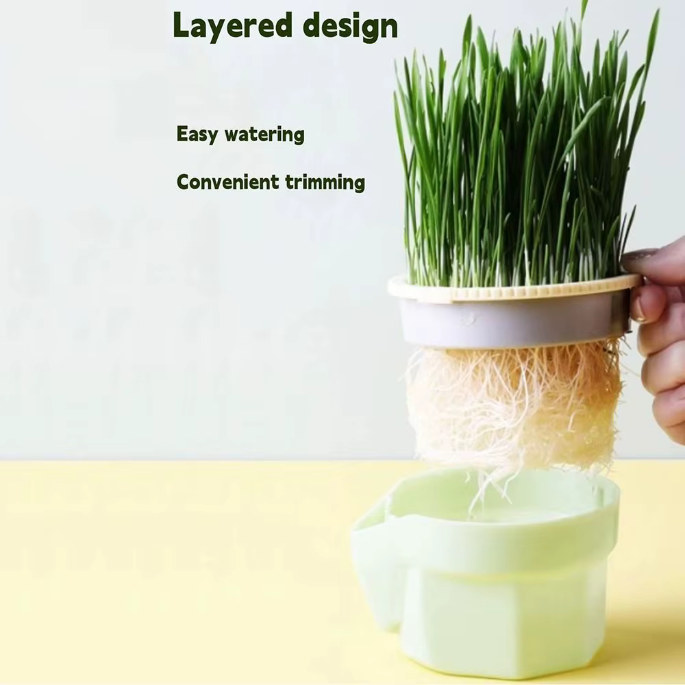 Boîte de plantation d'herbe à chat hydroponique réutilisable
