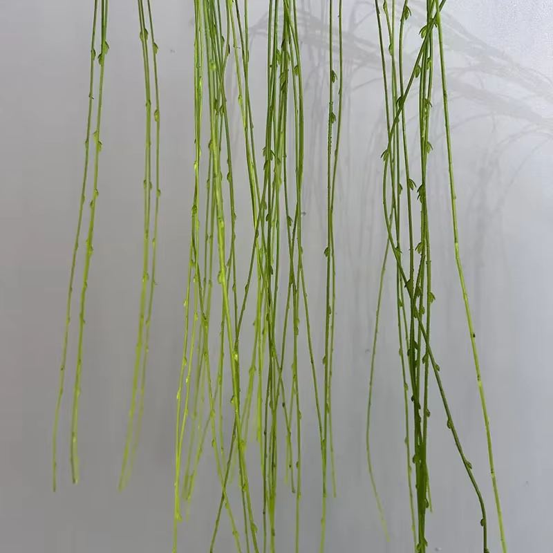 Simulation de plantes de saules pleureurs