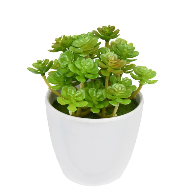 12 Pièces de Plantes Succulentes Artificielles Vertes