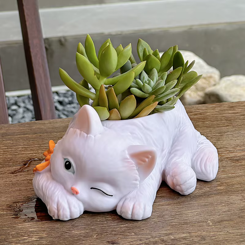 Pot de fleurs succulentes chat mignon