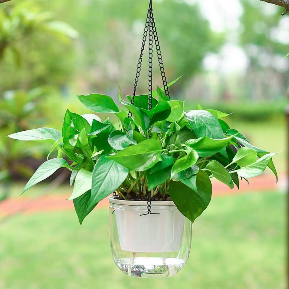 Pot de fleurs auto-arrosant pour décoration de jardin avec trous de drainage