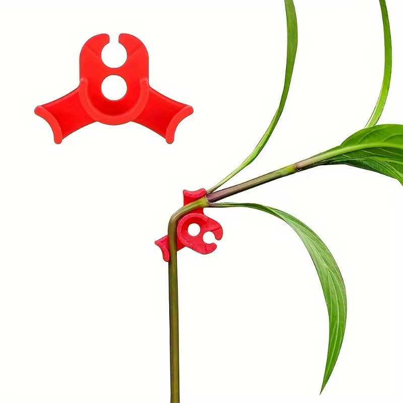 Redresseur de tiges de plantes