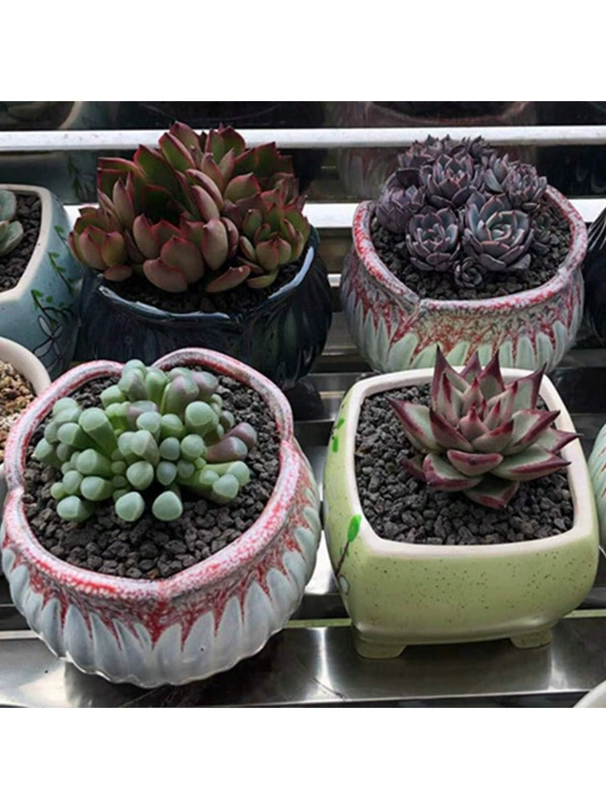Additif de sol de roche de lave horticole noire pour plantes succulentes de cactus sans colorants ni produits chimiques