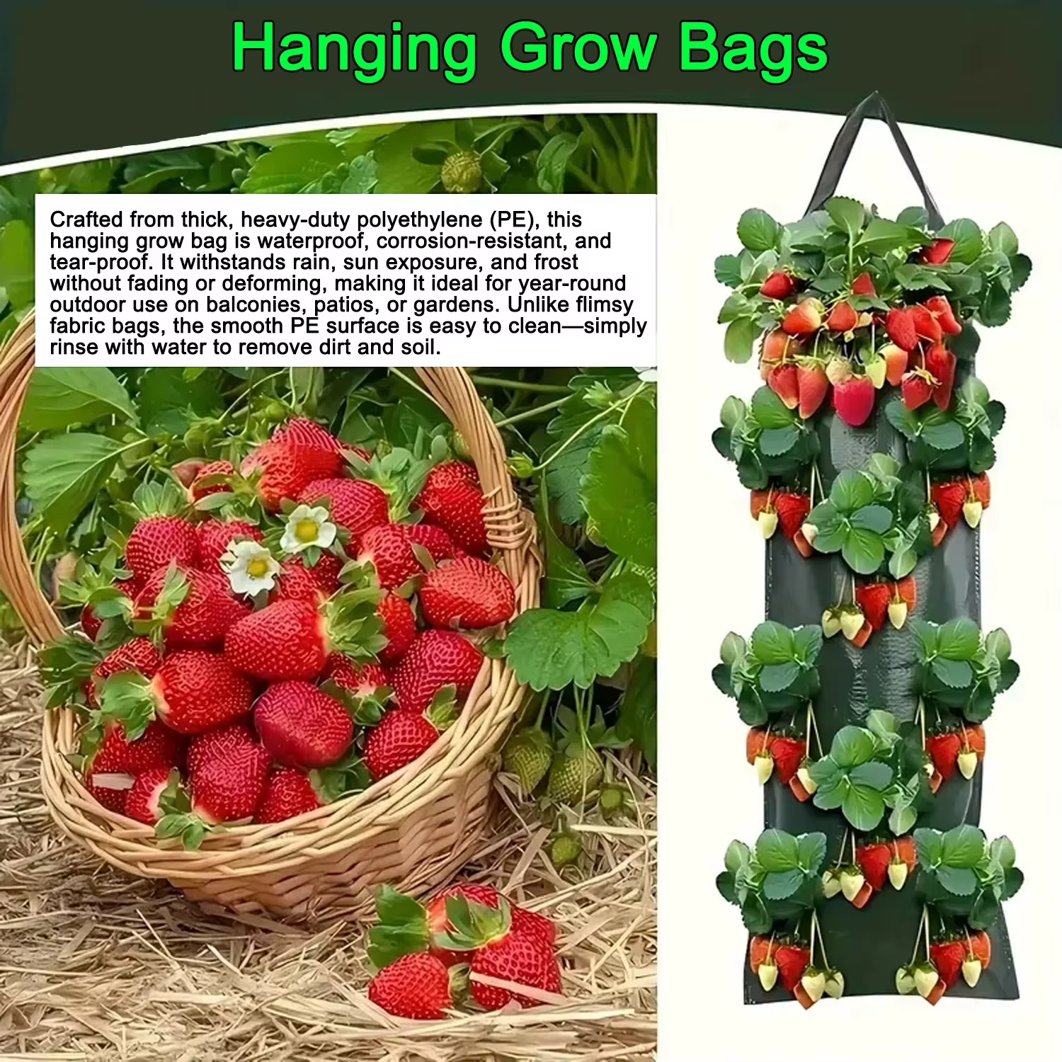 Sacs de culture suspendus pour fraises et tomates