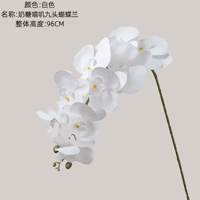 Fleurs Artificielles Hydratantes Phalaenopsis au Toucher Réel