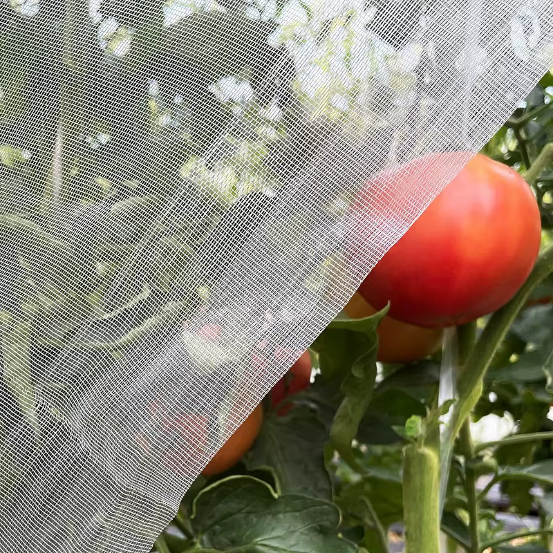 Filet de Protection contre les insectes pour plantes et légumes