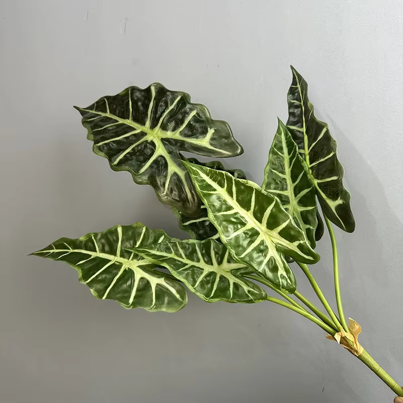 Simulation de plantes vertes Taro Levesf